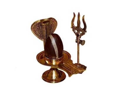 narmadeshwar shiv ling