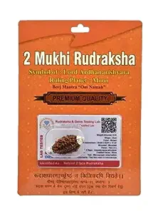 2 Mukhi Rudraksha