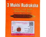 3 Mukhi Rudraksha