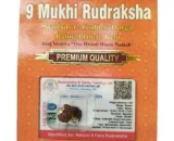 9 Mukhi Rudraksha