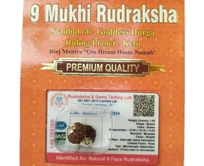 9 Mukhi Rudraksha