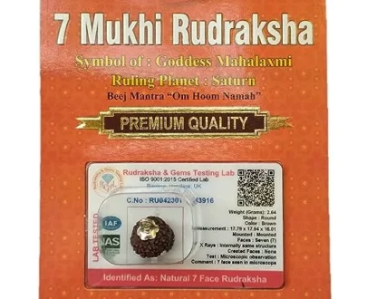 7 Mukhi Rudraksha