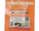 10 Mukhi Rudraksha