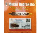 6 Mukhi Rudraksha