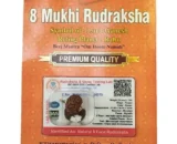 8 mukhi rudraksha