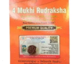 4 Mukhi Rudraksha