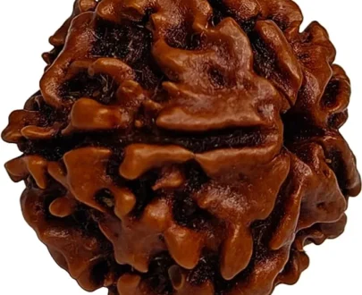 panchmukhi rudraksha