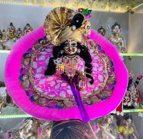 Laddu Gopal Idol