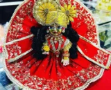 Laddoo Gopal Idol