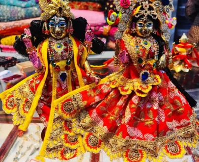 Lakshmi Narayan idols